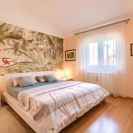 Tomisha 普耶斯察纳乌瓦拉